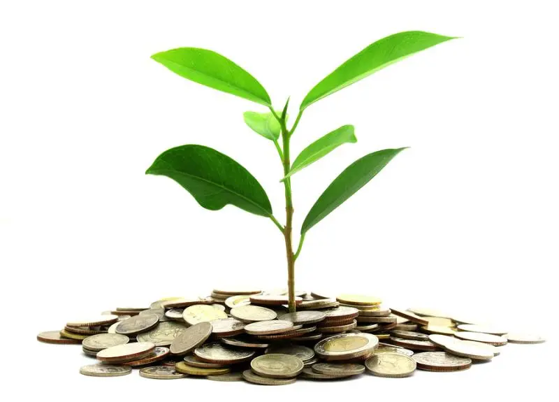 Инвестиции SKF в сохранение экологии | Свежие новости в Нижнем Тагиле