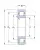 Роликовый цилиндрический подшипник NJ 2206 ECP от производителя  SKF